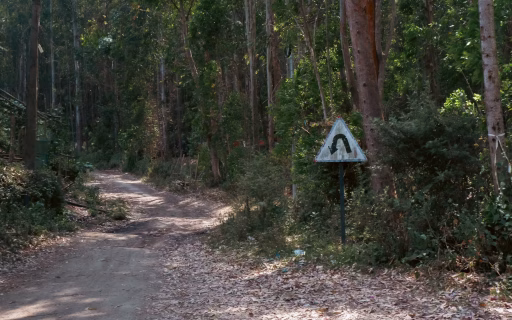 healthy mistake sign